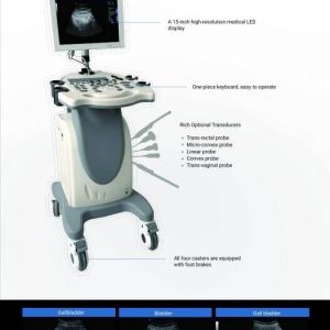 DW-370PC PC PLATFORM FULL- DIGITAL BLACK AND WHITE ULTRASOUND DIAGNOSTIC SYSTEM