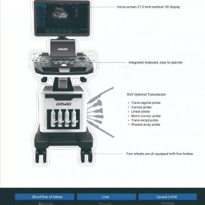 DW-F5PLUS TROLLEY COLOR ULTRASONIC DIAGNOSTIC APPARATUS