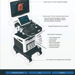 DW-T5PRO 3D/4D/5D TROLLEY COLOR ULTRASONIC DIAGNOSTIC APPARATUS